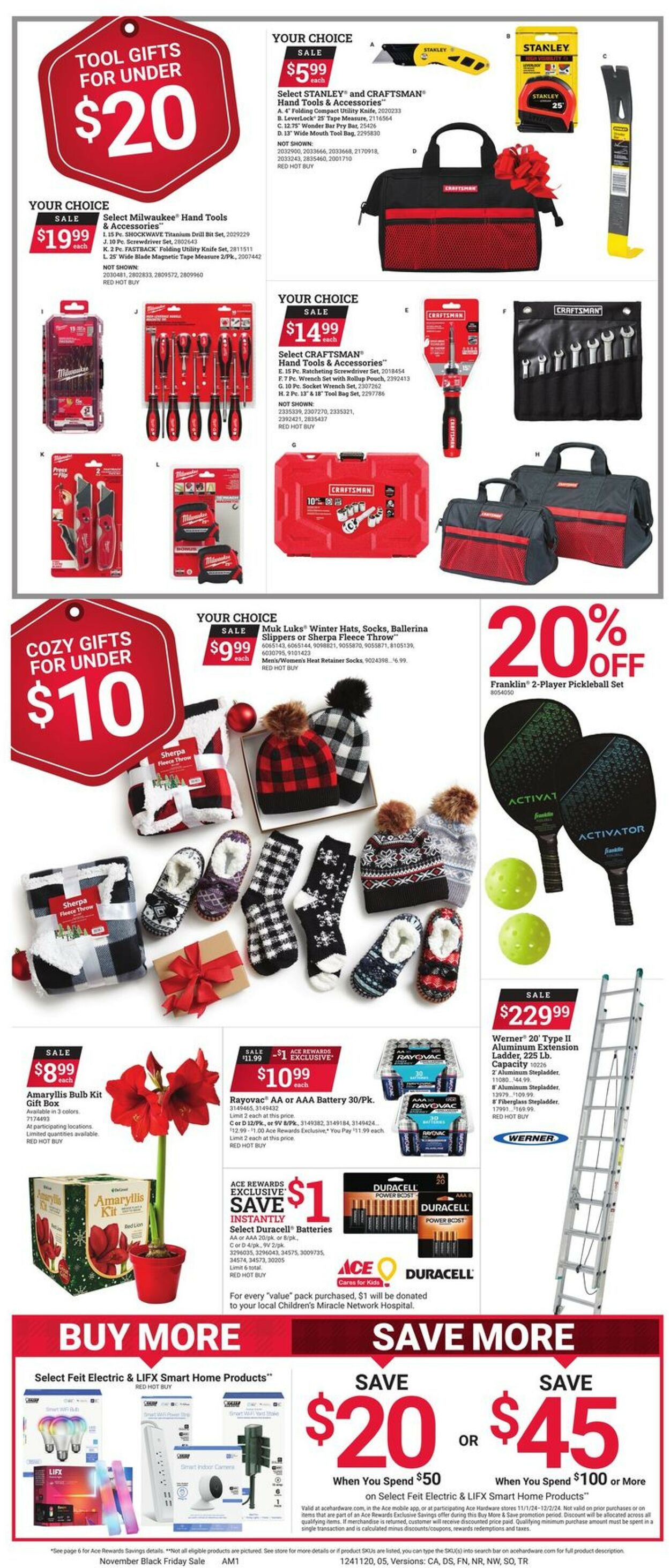 Catalogue Ace Hardware from 11/01/2024