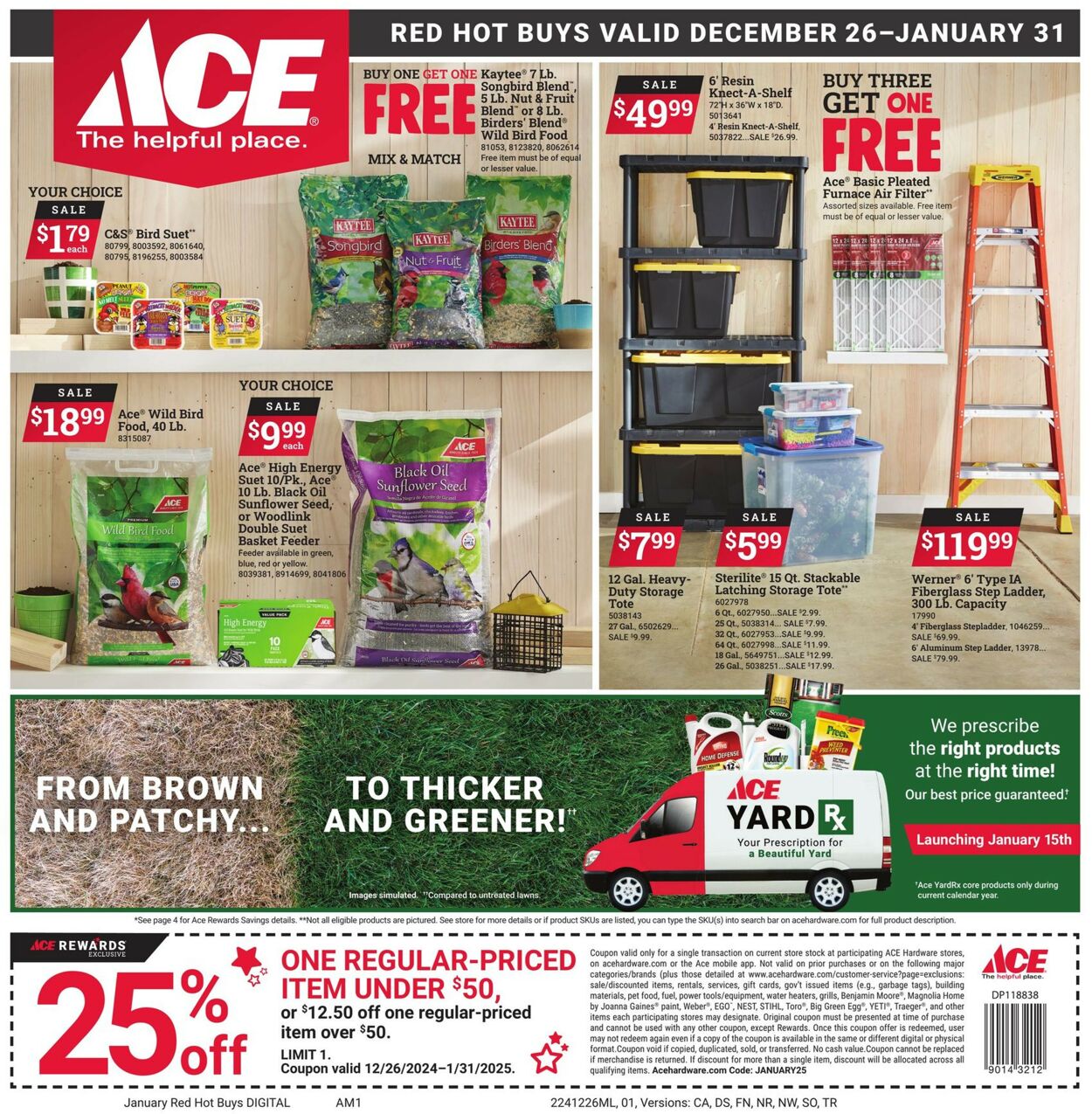 Catalogue Ace Hardware from 12/26/2024