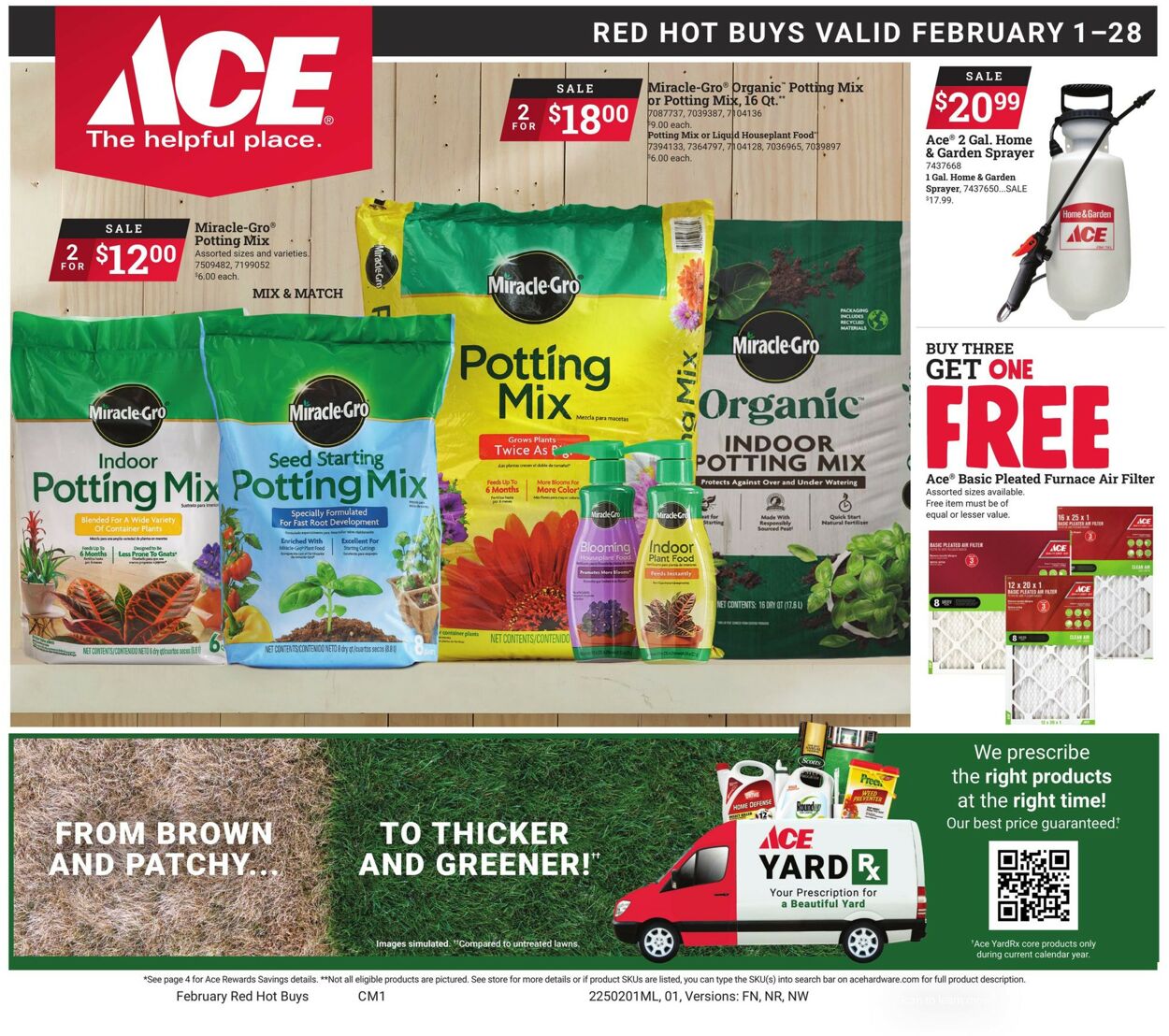 Catalogue Ace Hardware from 02/01/2025