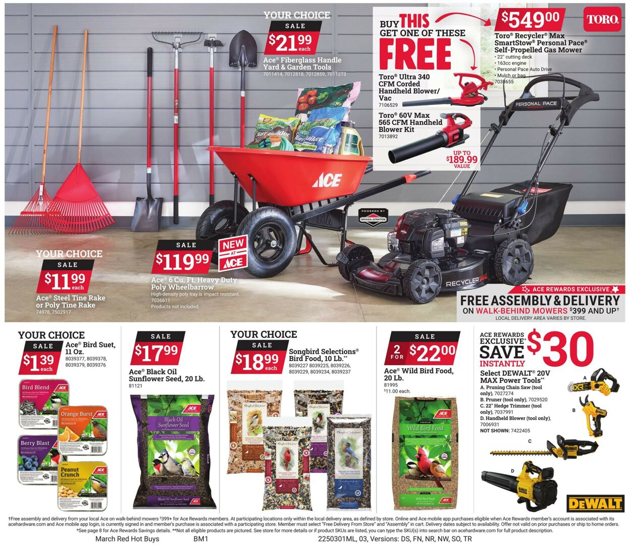 Catalogue Ace Hardware from 03/01/2025