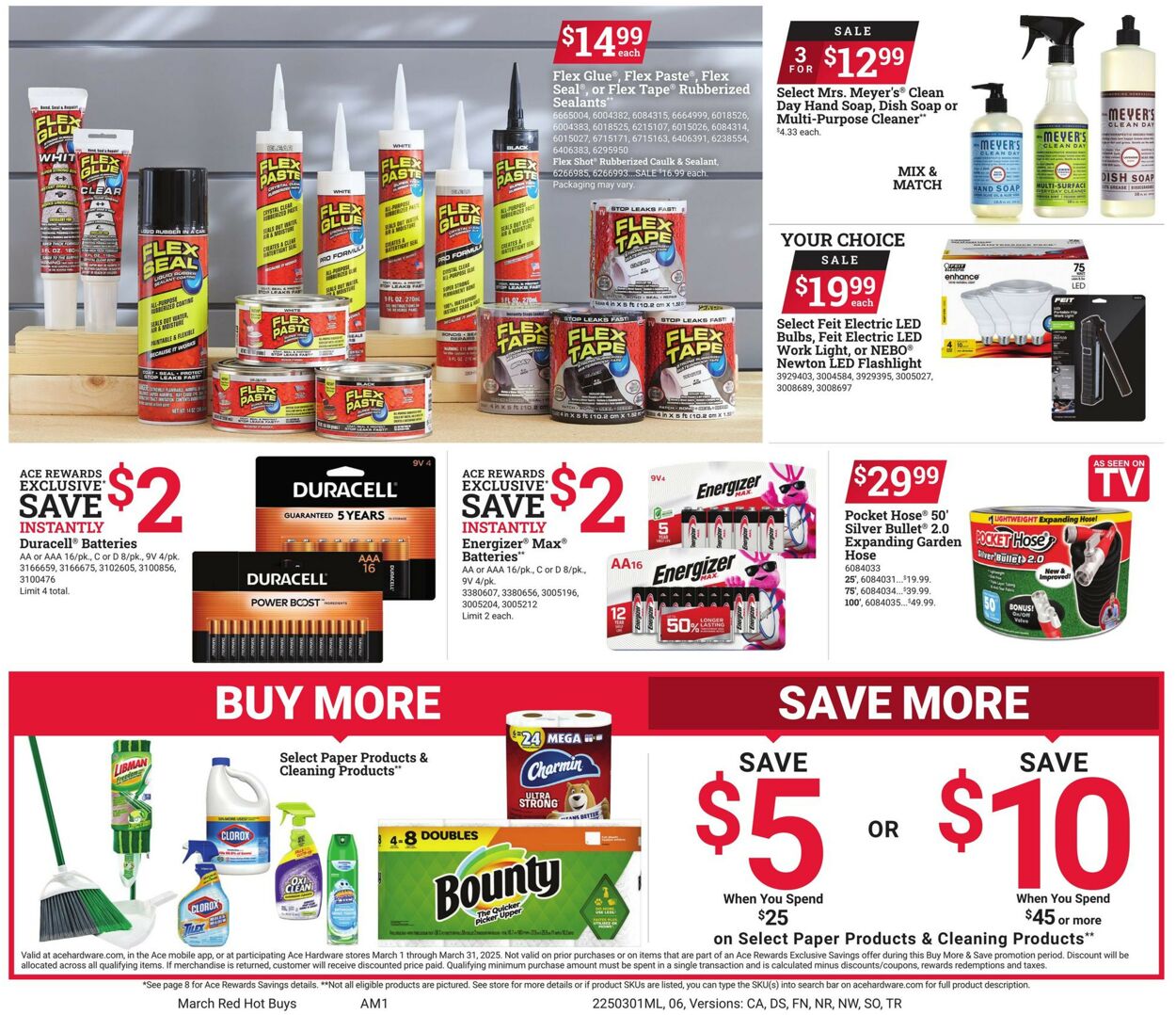 Catalogue Ace Hardware from 03/01/2025