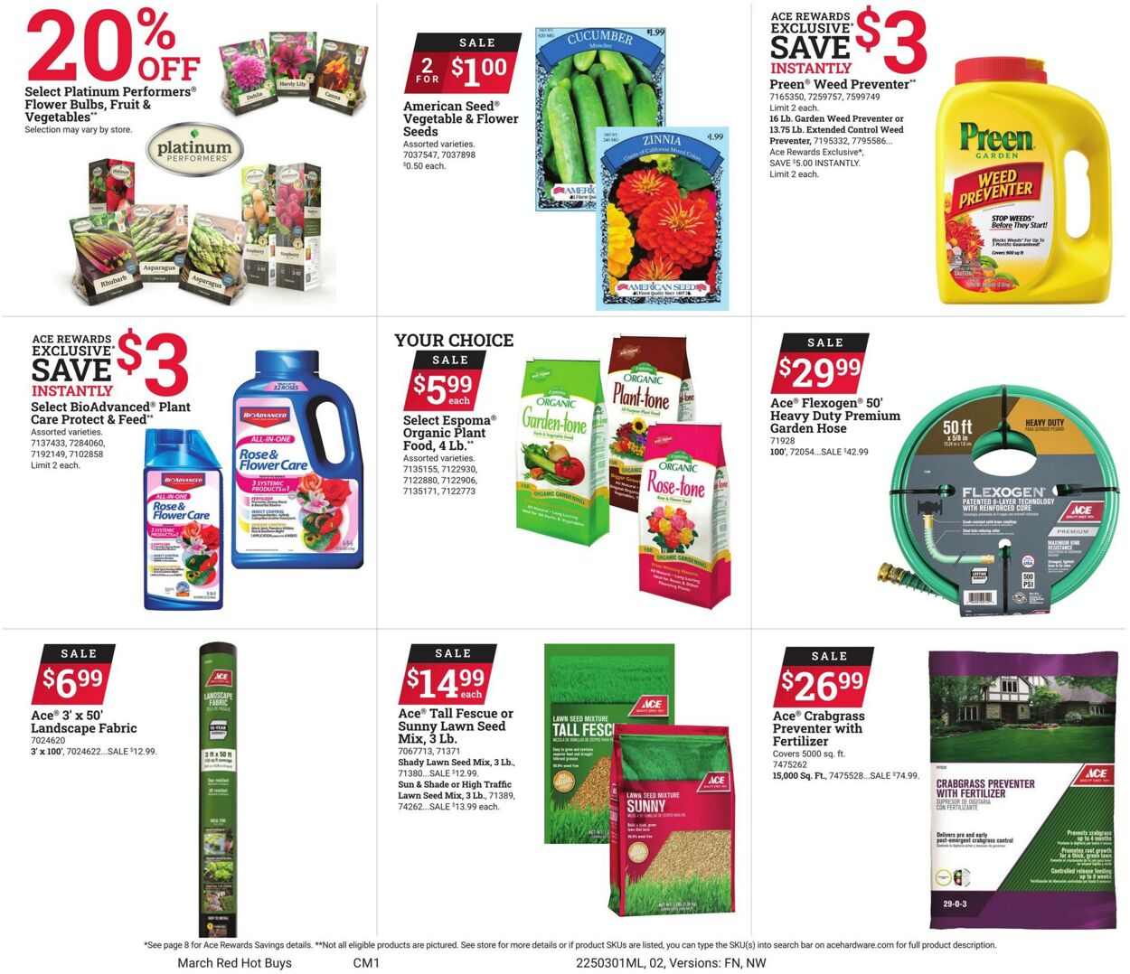 Catalogue Ace Hardware from 03/01/2025