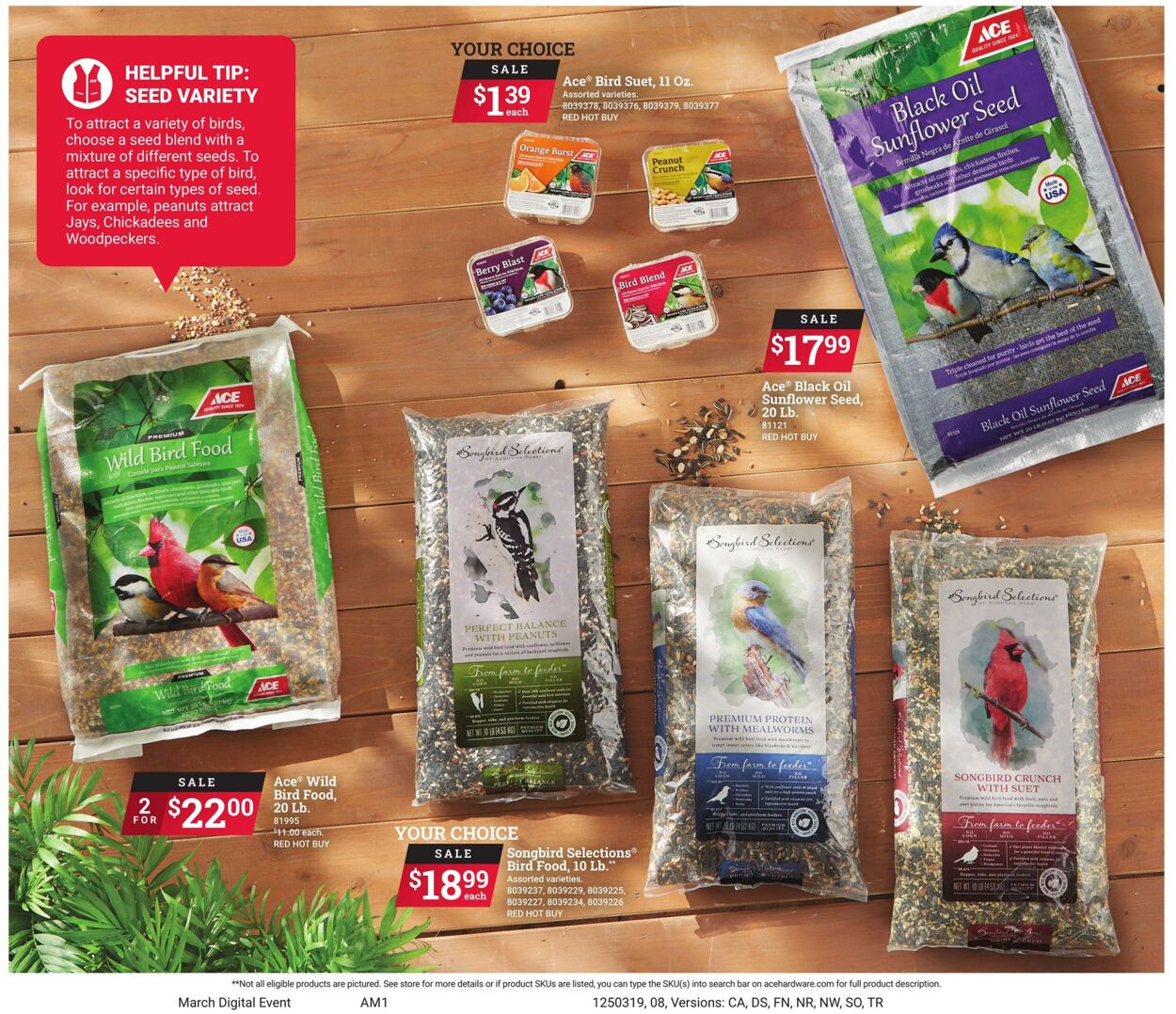 Catalogue Ace Hardware from 03/19/2025