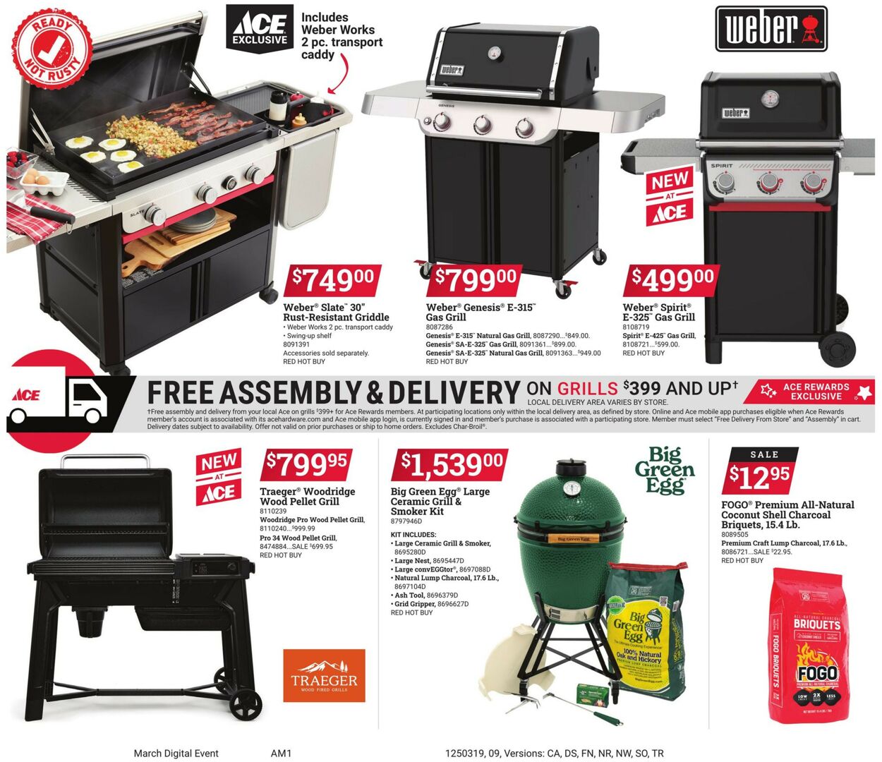 Catalogue Ace Hardware from 03/19/2025