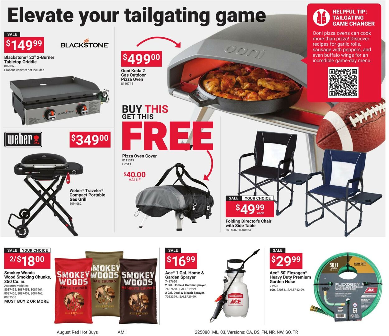 Catalogue Ace Hardware from 08/01/2025