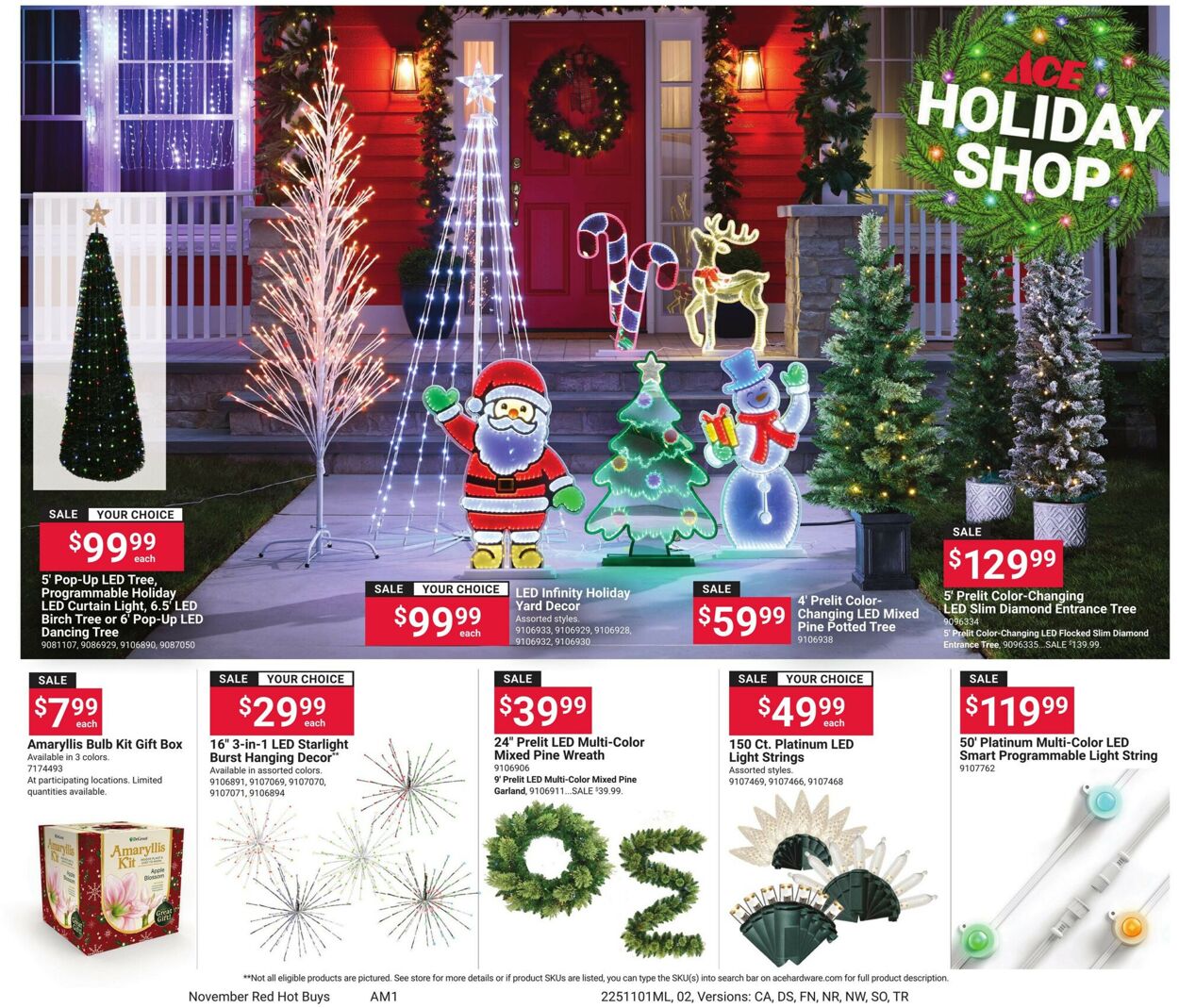 Catalogue Ace Hardware from 11/01/2025