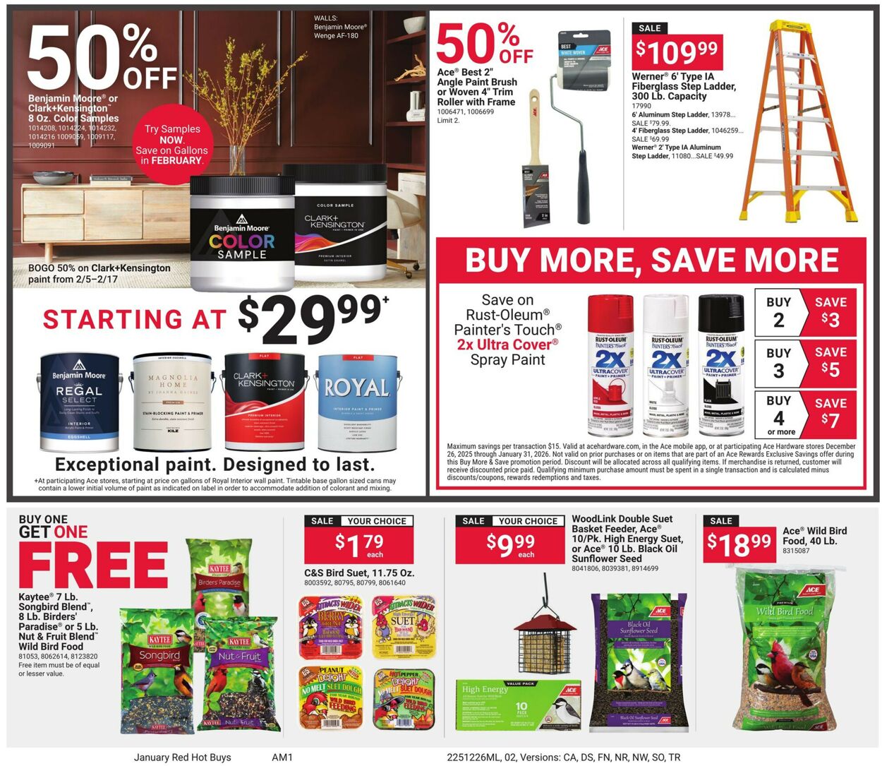 Catalogue Ace Hardware from 12/26/2025