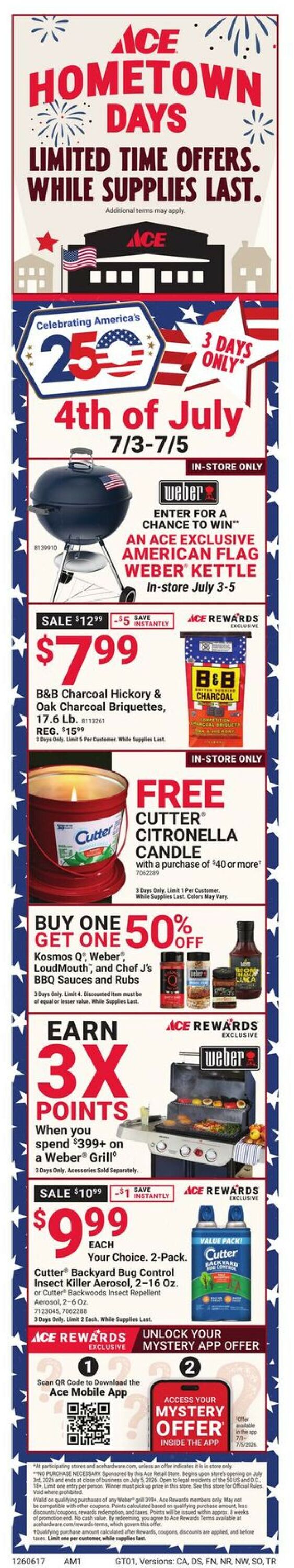 Catalogue Ace Hardware from 06/17/2026