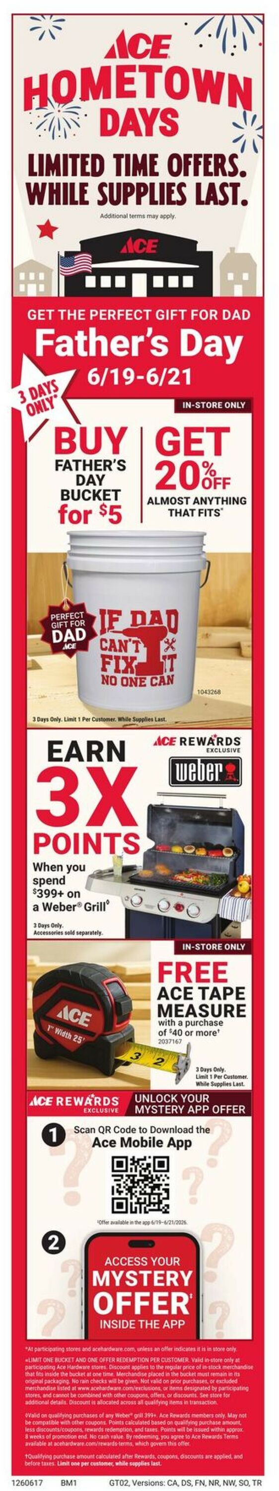 Catalogue Ace Hardware from 06/17/2026