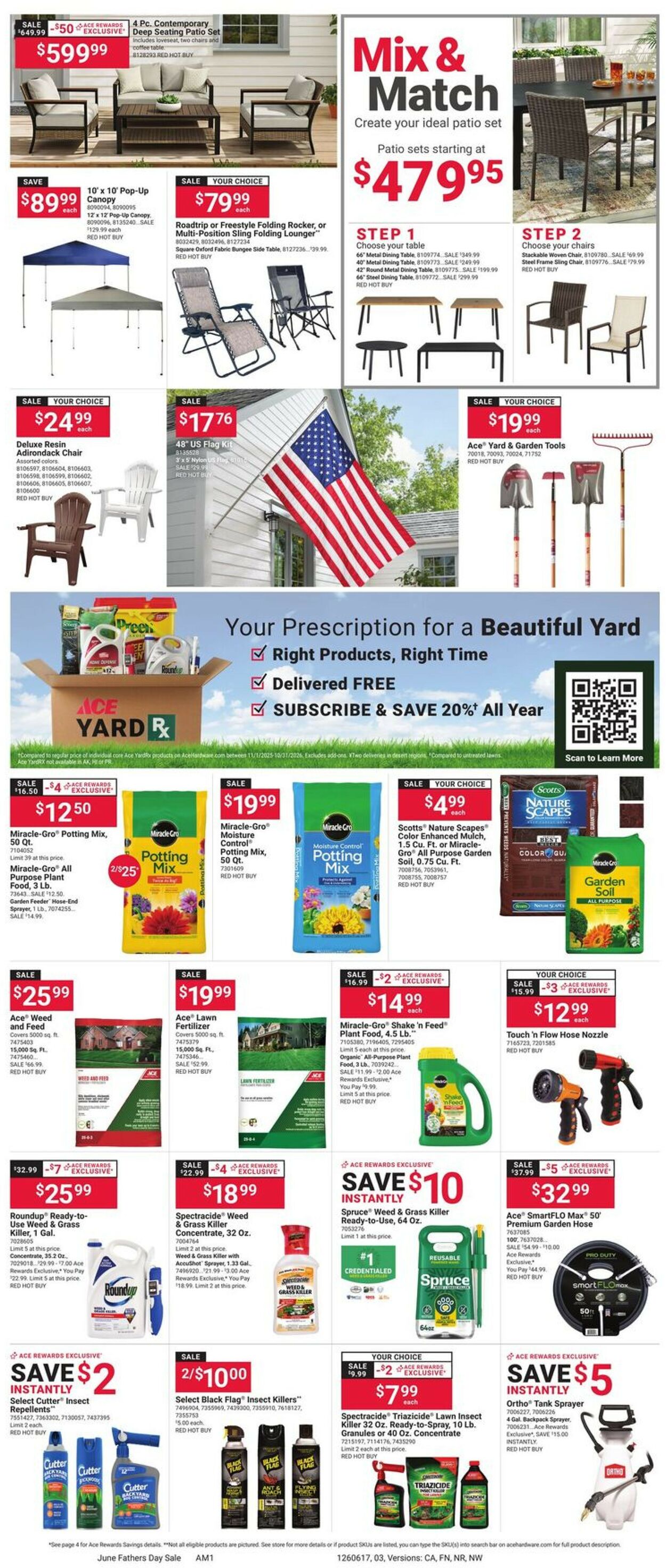 Catalogue Ace Hardware from 06/17/2026