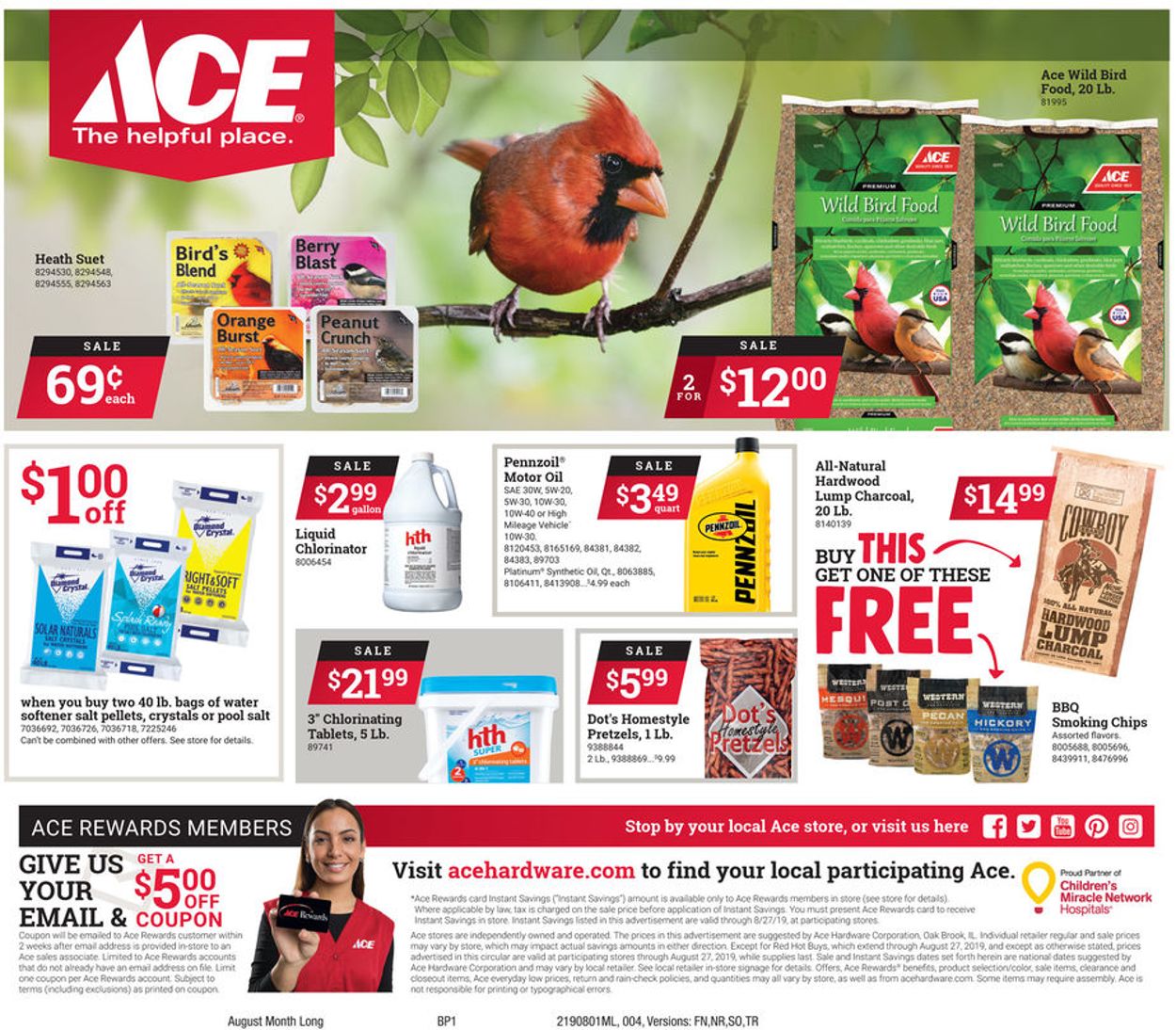 Catalogue Ace Hardware from 08/01/2019
