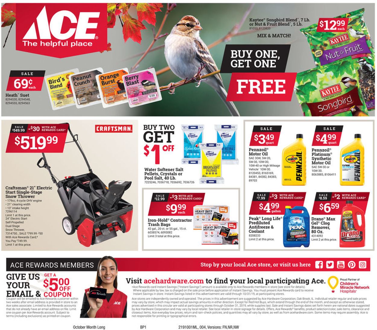 Catalogue Ace Hardware from 10/01/2019