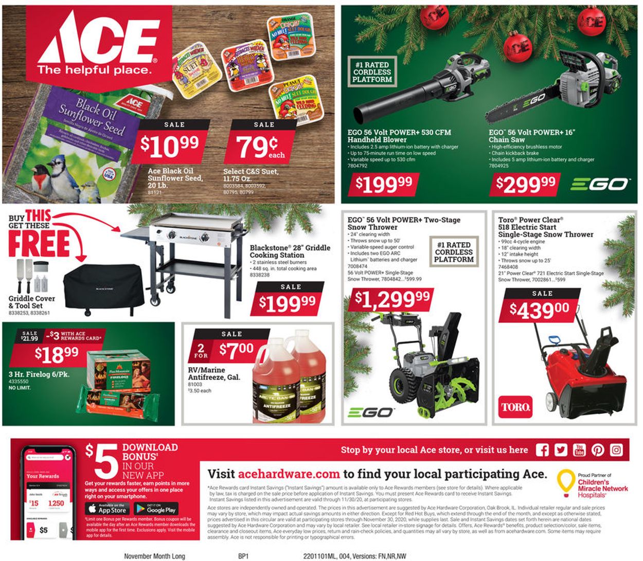 Catalogue Ace Hardware from 11/01/2020