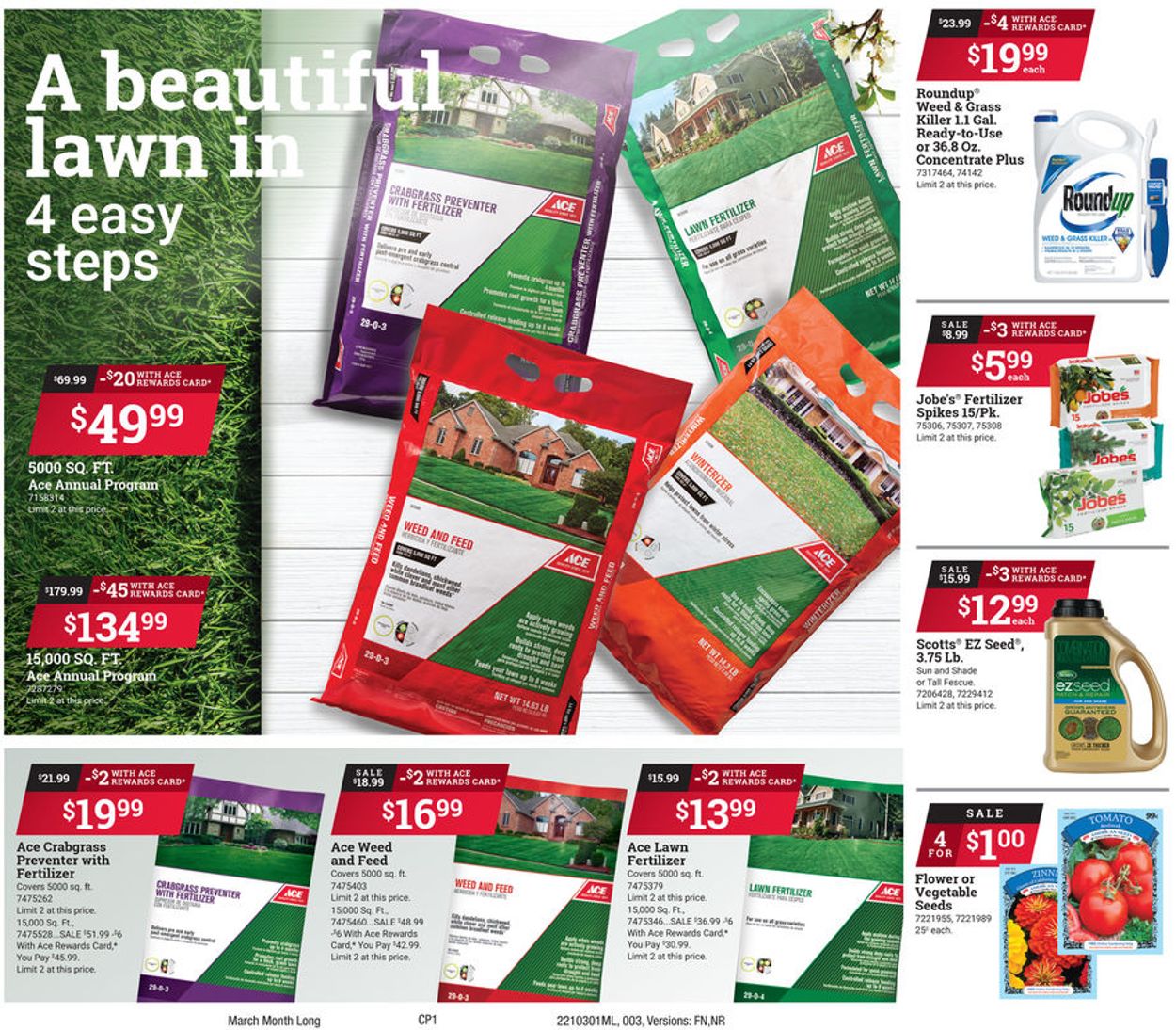 Catalogue Ace Hardware from 03/01/2021