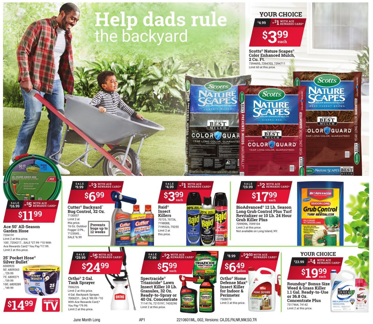 Catalogue Ace Hardware from 06/01/2021