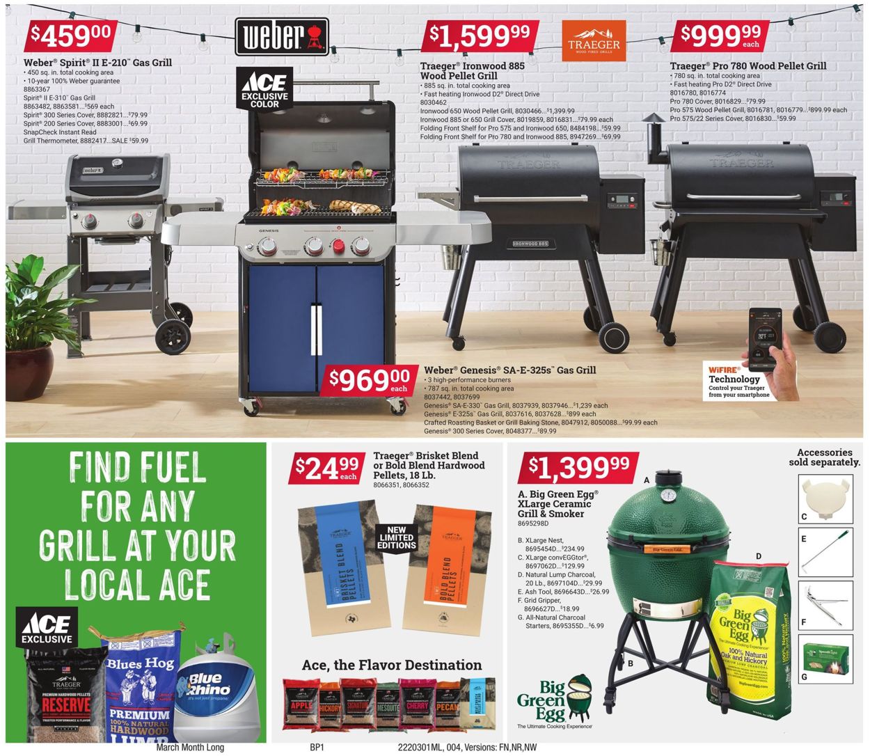 Catalogue Ace Hardware from 03/01/2022