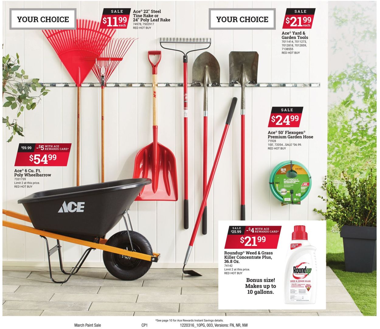 Catalogue Ace Hardware from 03/16/2022