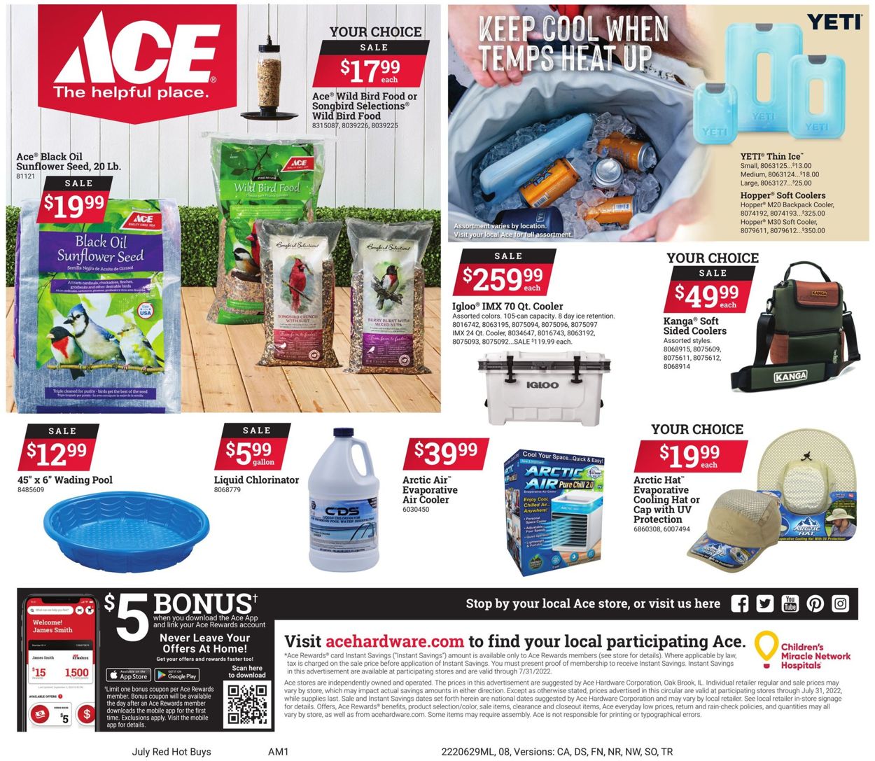 Catalogue Ace Hardware from 06/29/2022