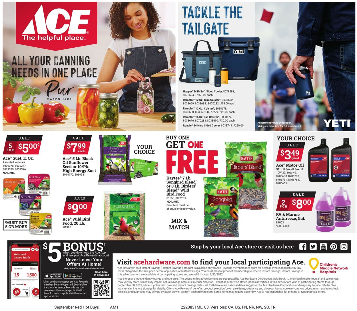 Catalogue Ace Hardware from 08/31/2022