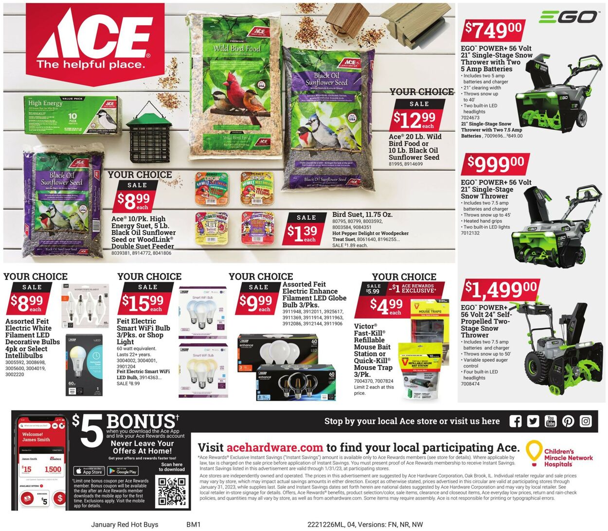 Catalogue Ace Hardware from 12/26/2022
