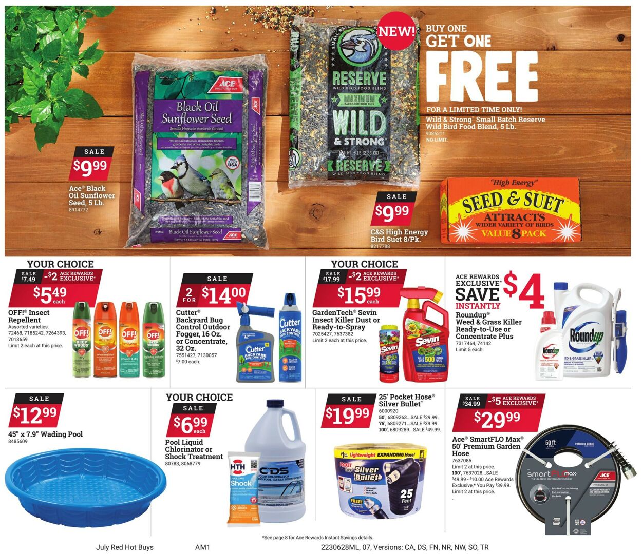Catalogue Ace Hardware from 06/28/2023