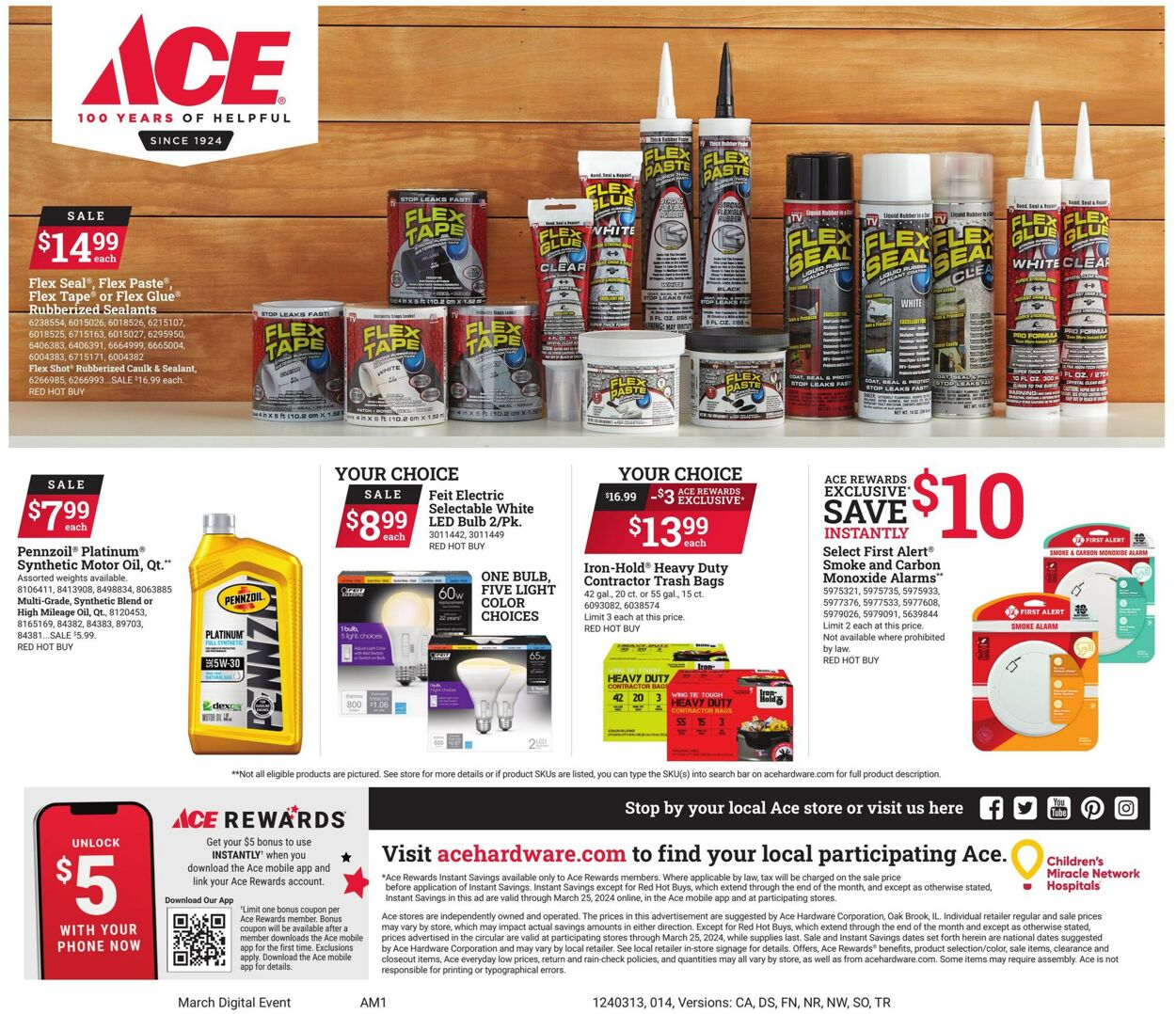Catalogue Ace Hardware from 03/13/2024
