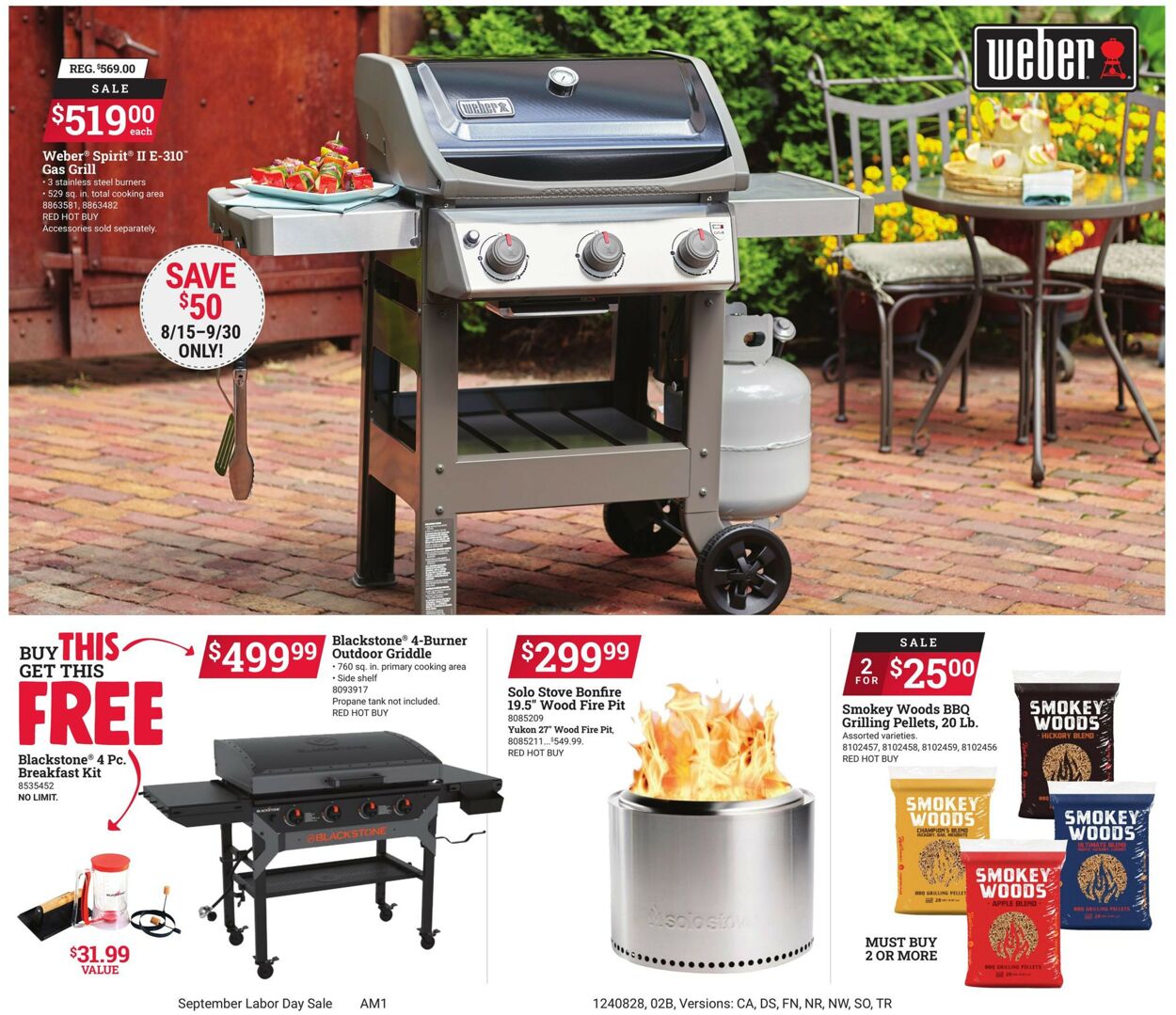 Catalogue Ace Hardware from 08/28/2024