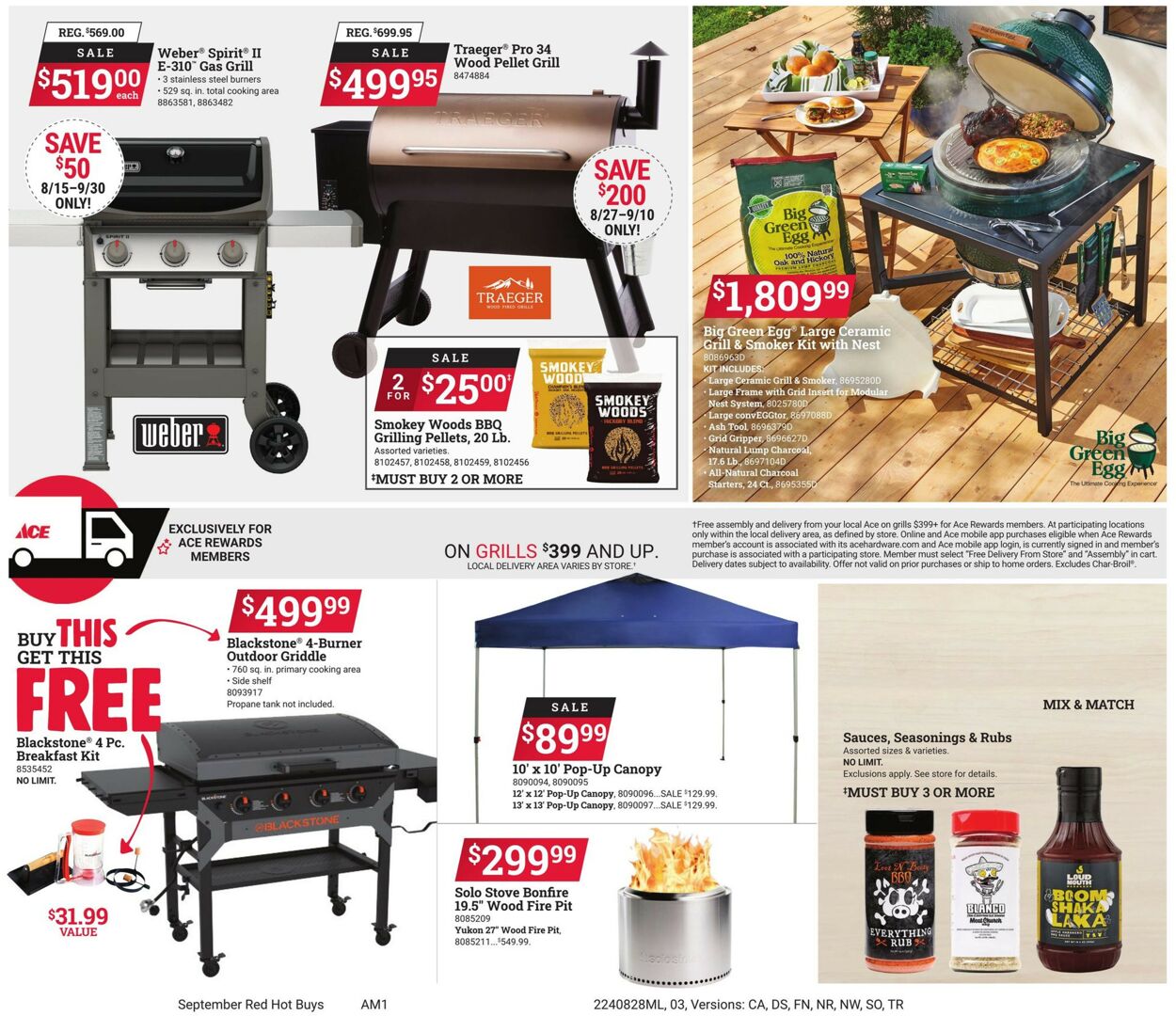 Catalogue Ace Hardware from 08/28/2024