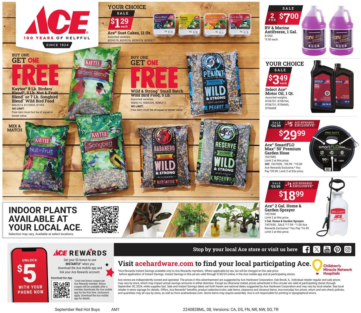 Catalogue Ace Hardware from 08/28/2024