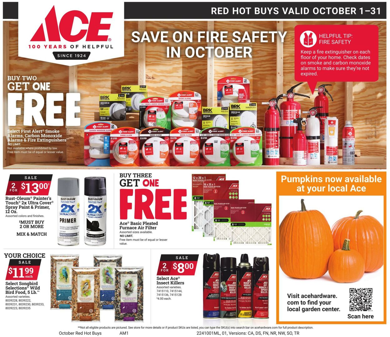 Catalogue Ace Hardware from 10/01/2024