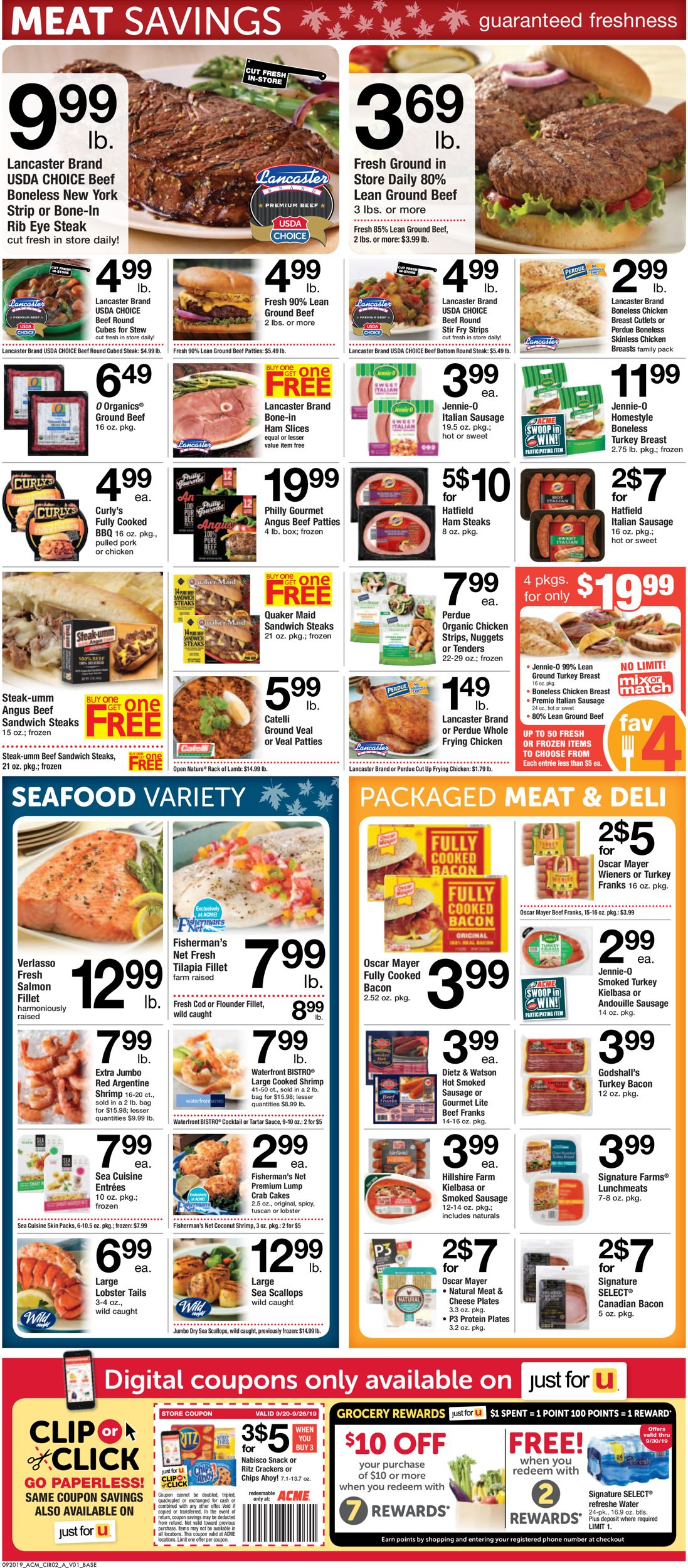 Catalogue Acme from 09/20/2019
