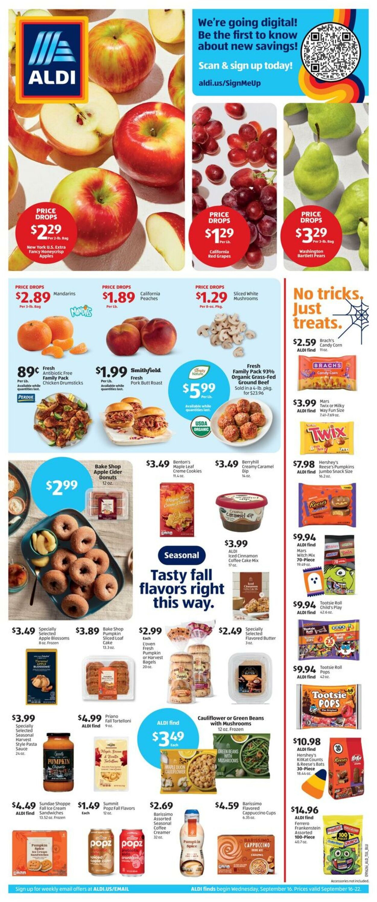 Catalogue ALDI from 09/16/2026