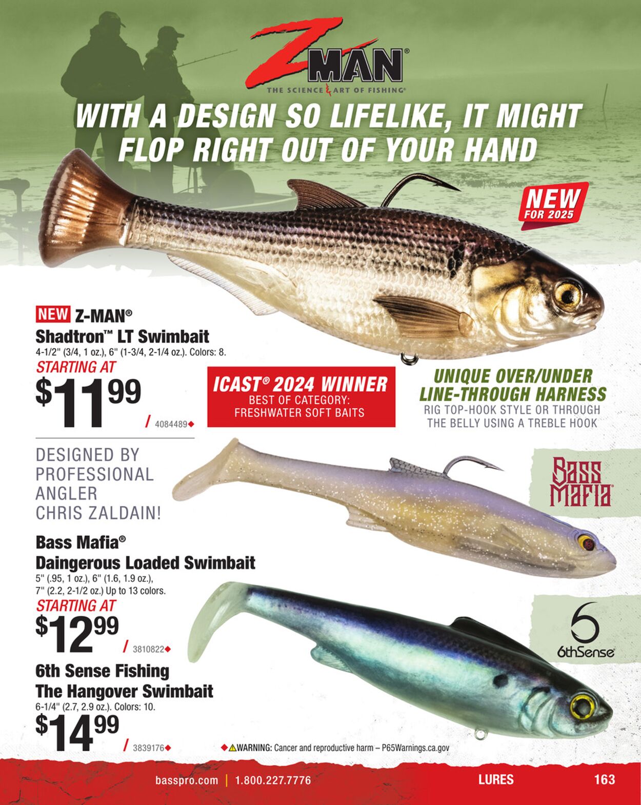 Catalogue Bass Pro from 01/31/2025