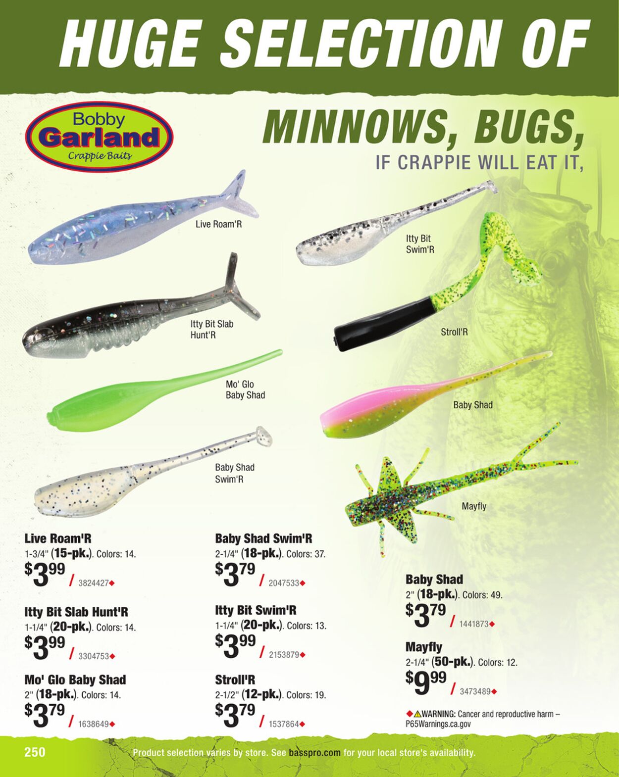 Catalogue Bass Pro from 01/31/2025