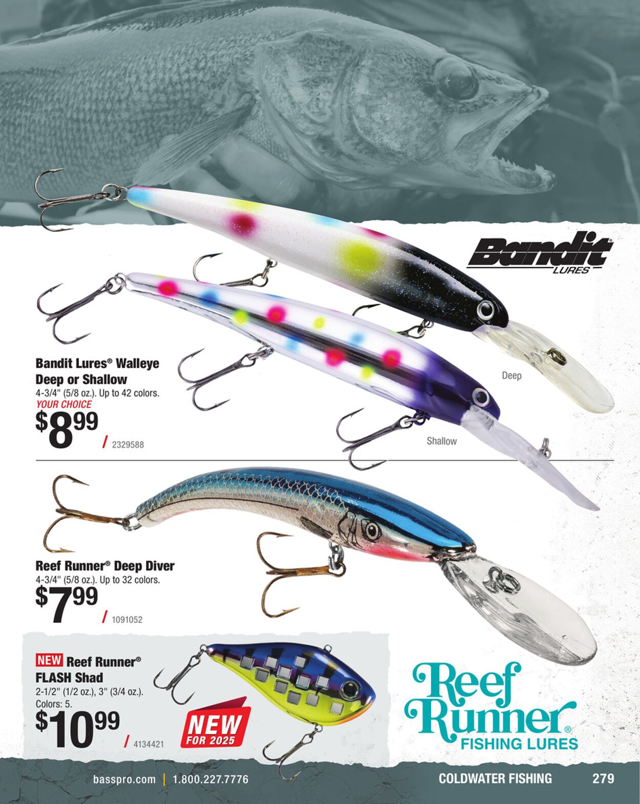 Catalogue Bass Pro from 01/31/2025