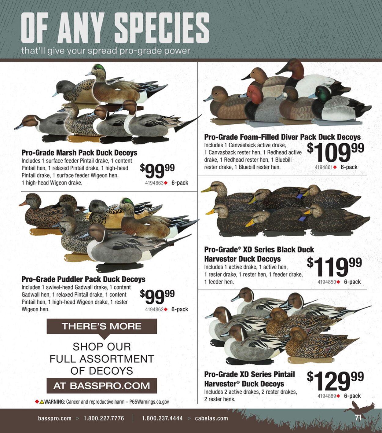 Catalogue Bass Pro from 10/01/2025