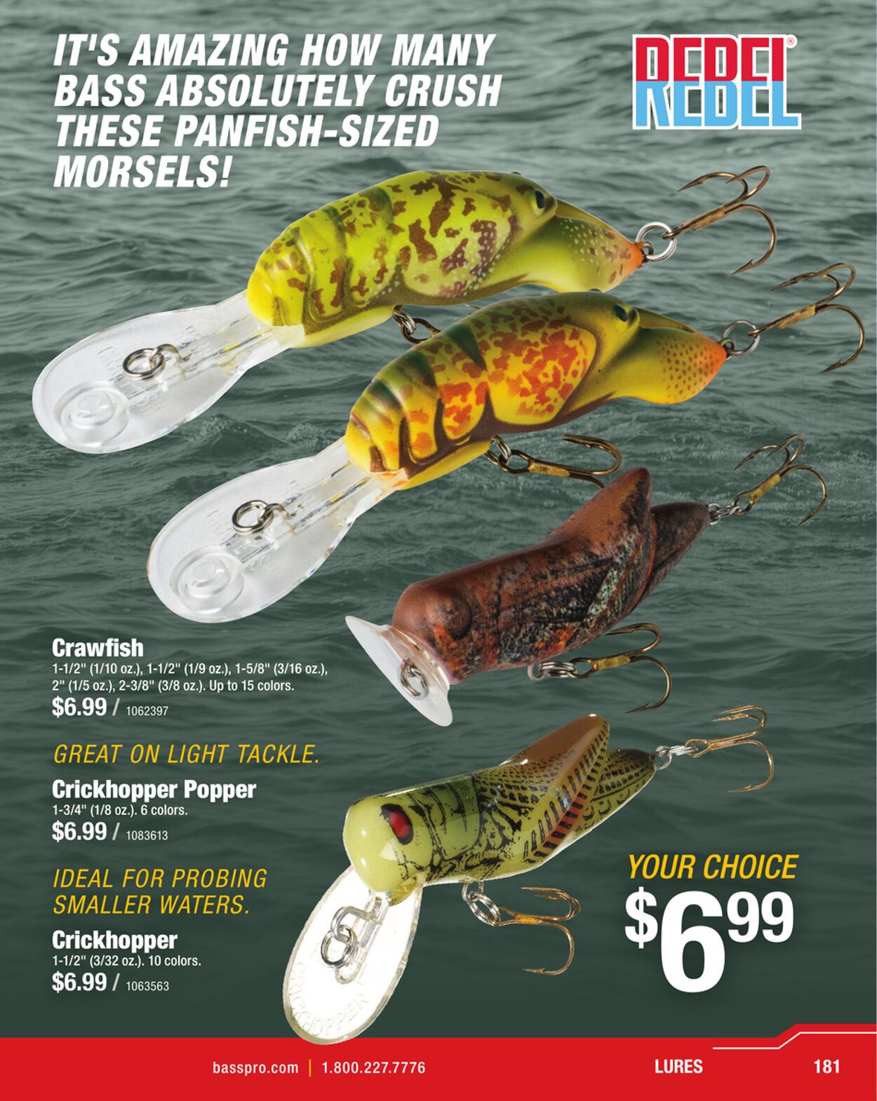 Catalogue Bass Pro from 02/18/2026