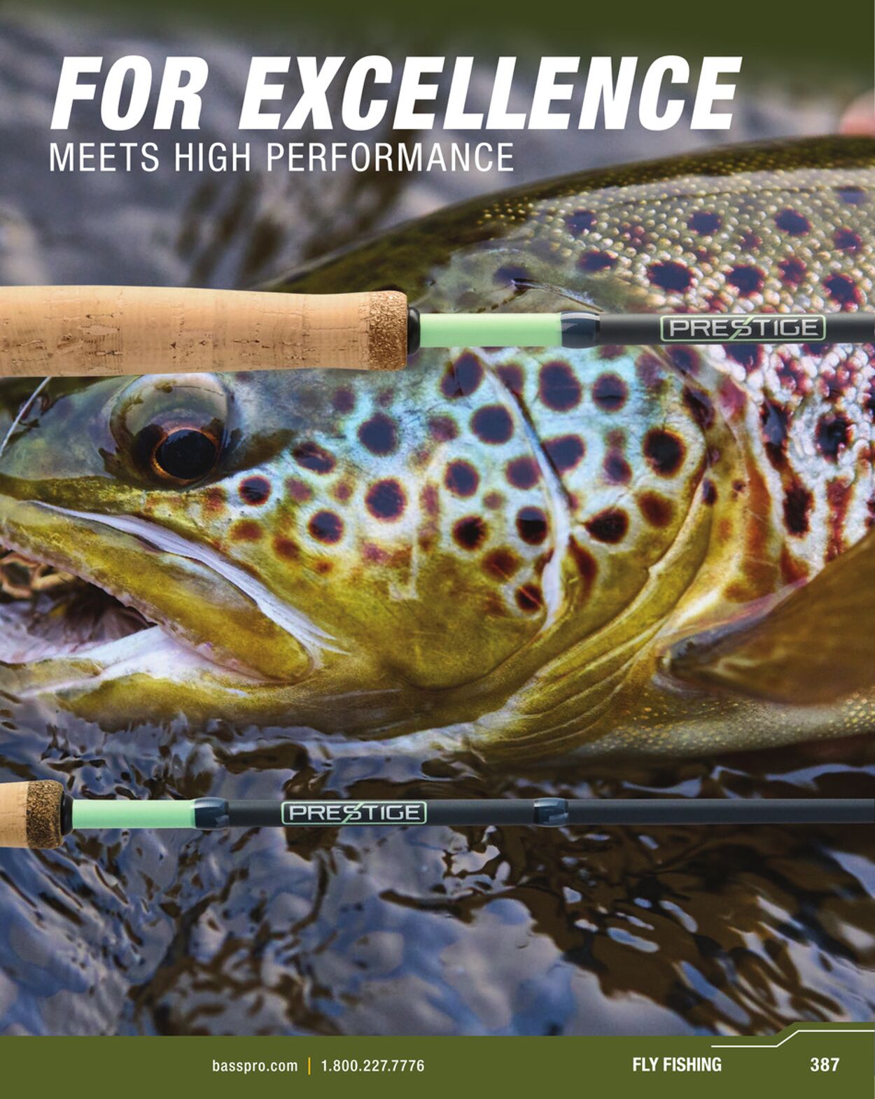 Catalogue Bass Pro from 02/18/2026