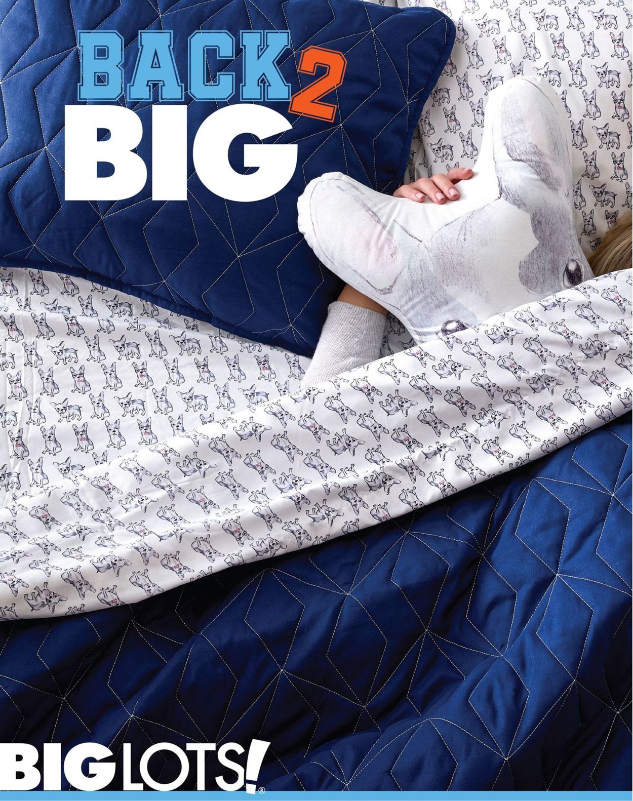 Catalogue Big Lots from 06/28/2019