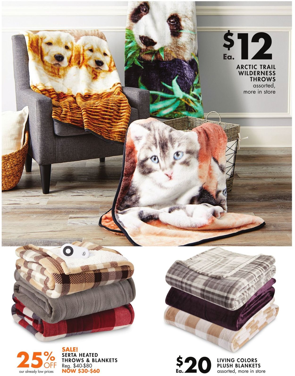 Catalogue Big Lots - New Year's Ad 2019/2020 from 12/25/2019