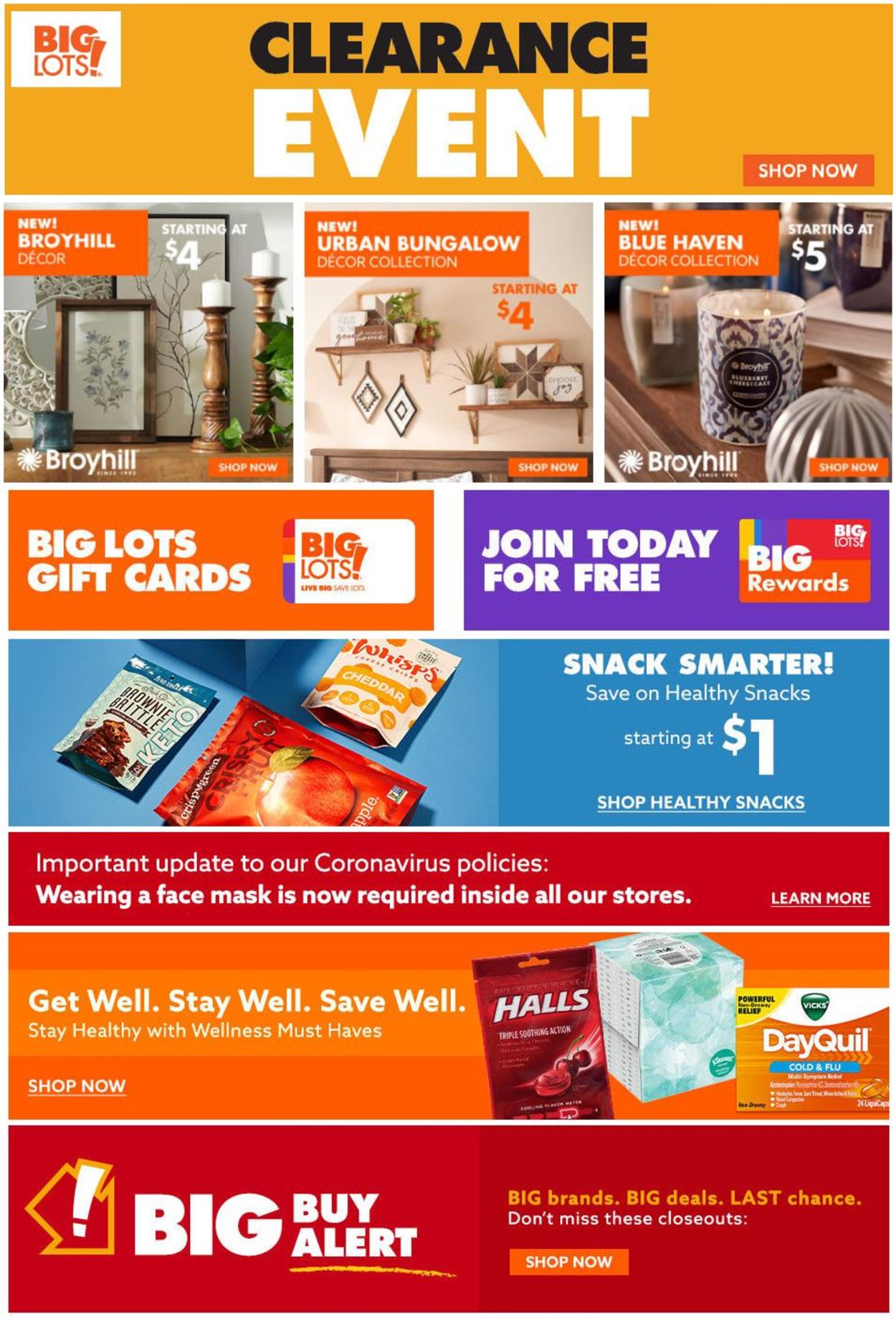 Catalogue Big Lots from 01/18/2021