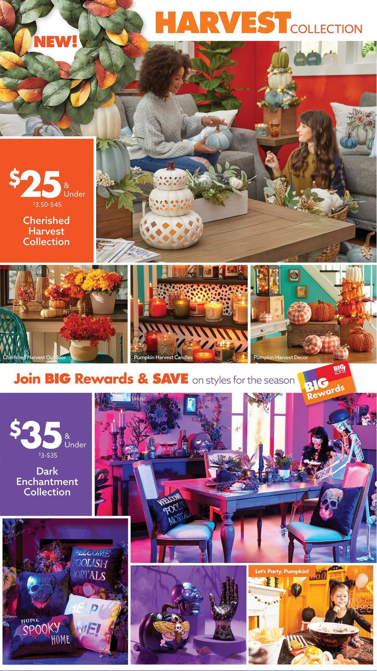 Catalogue Big Lots from 08/14/2021