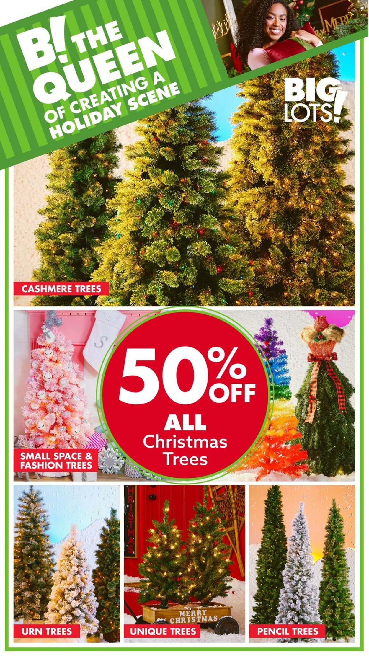 Catalogue Big Lots from 11/28/2022