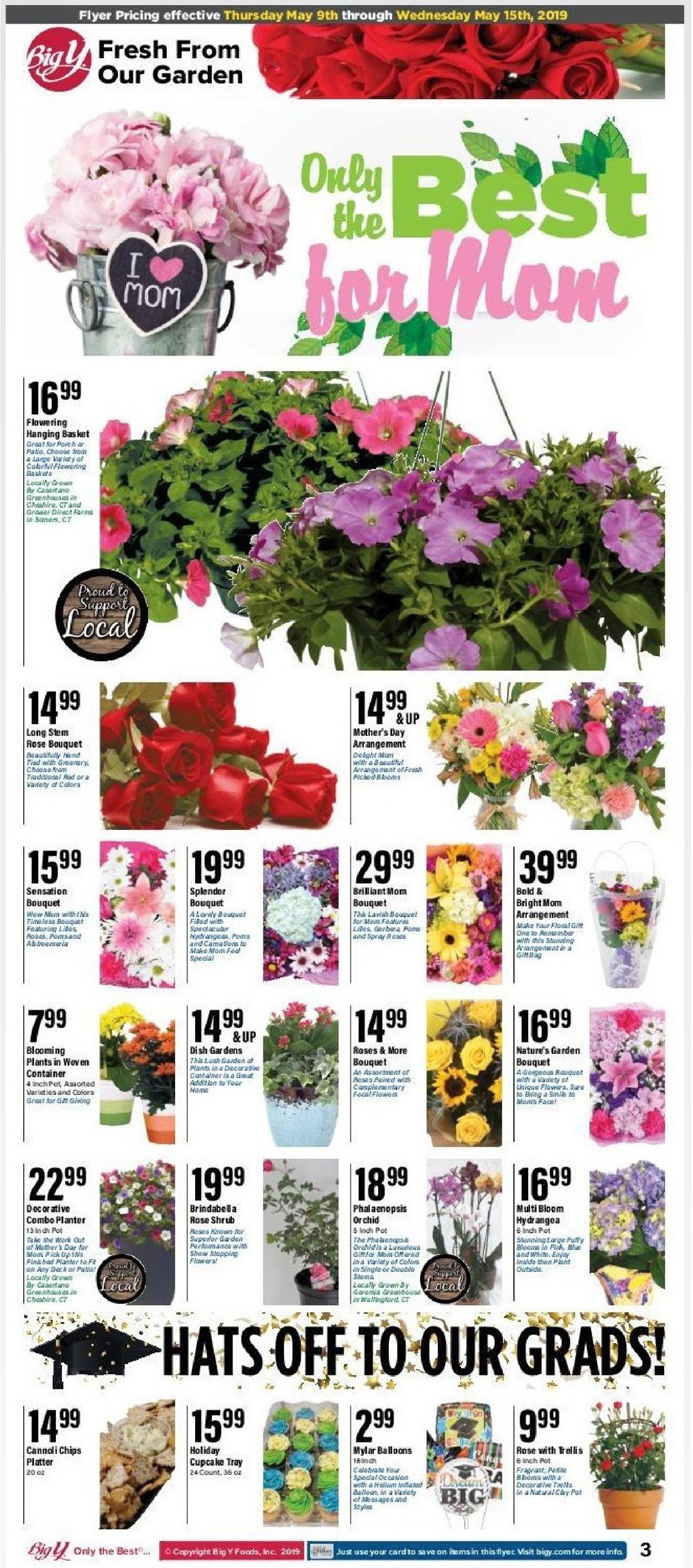 Catalogue Big Y from 05/16/2019