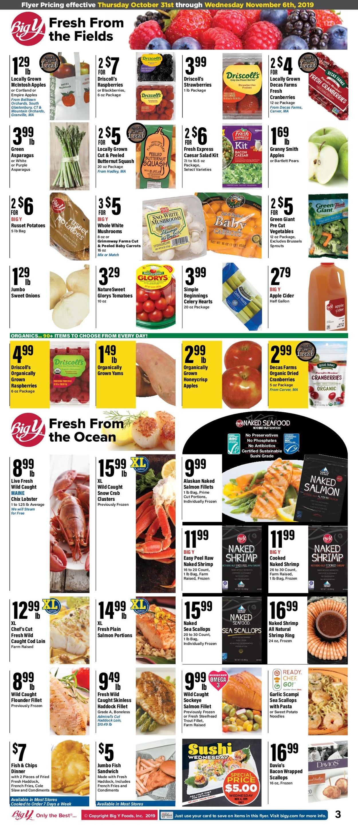 Catalogue Big Y from 10/31/2019