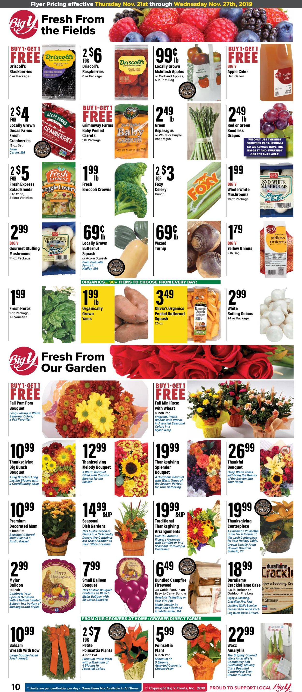 Catalogue Big Y from 11/21/2019