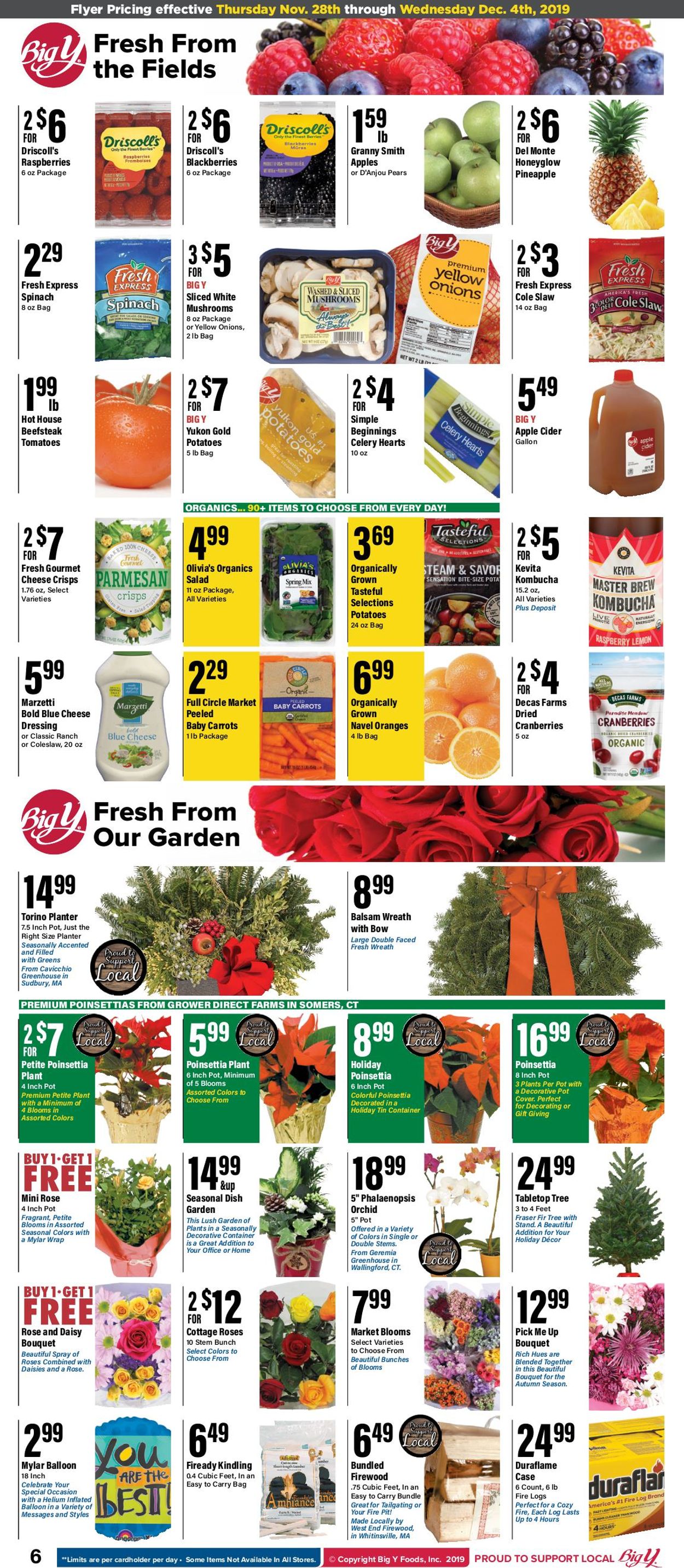 Catalogue Big Y from 11/28/2019