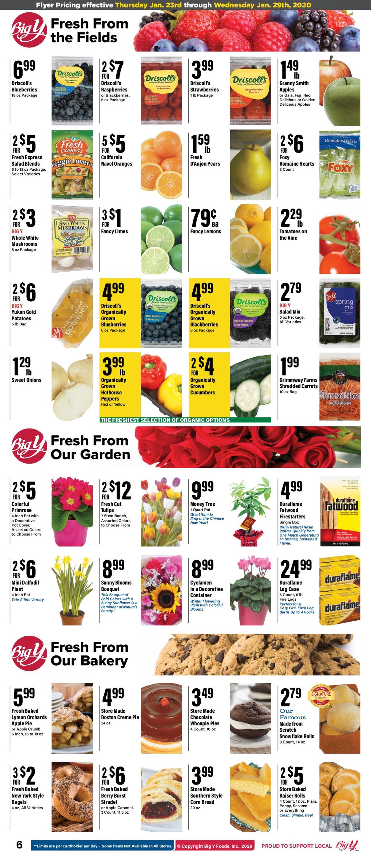 Catalogue Big Y from 01/23/2020