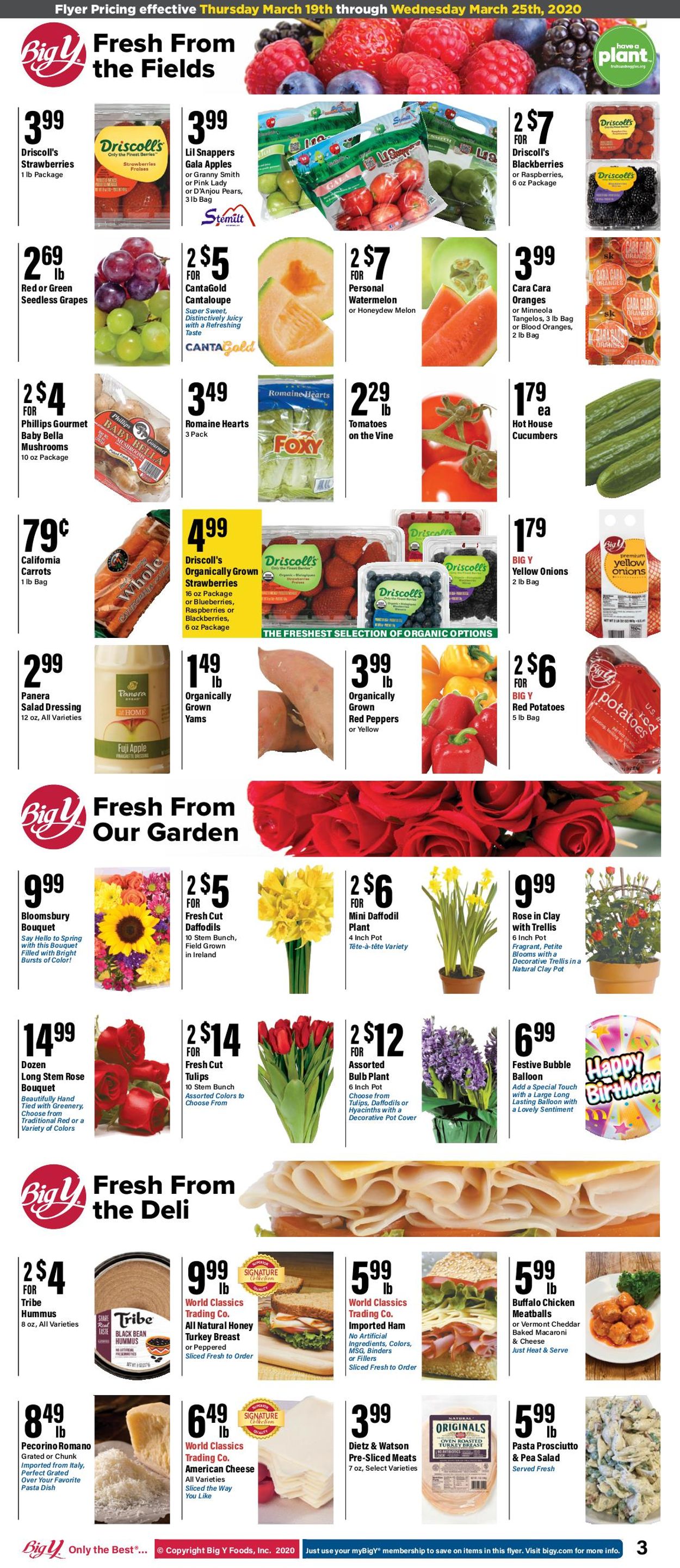 Catalogue Big Y from 03/19/2020