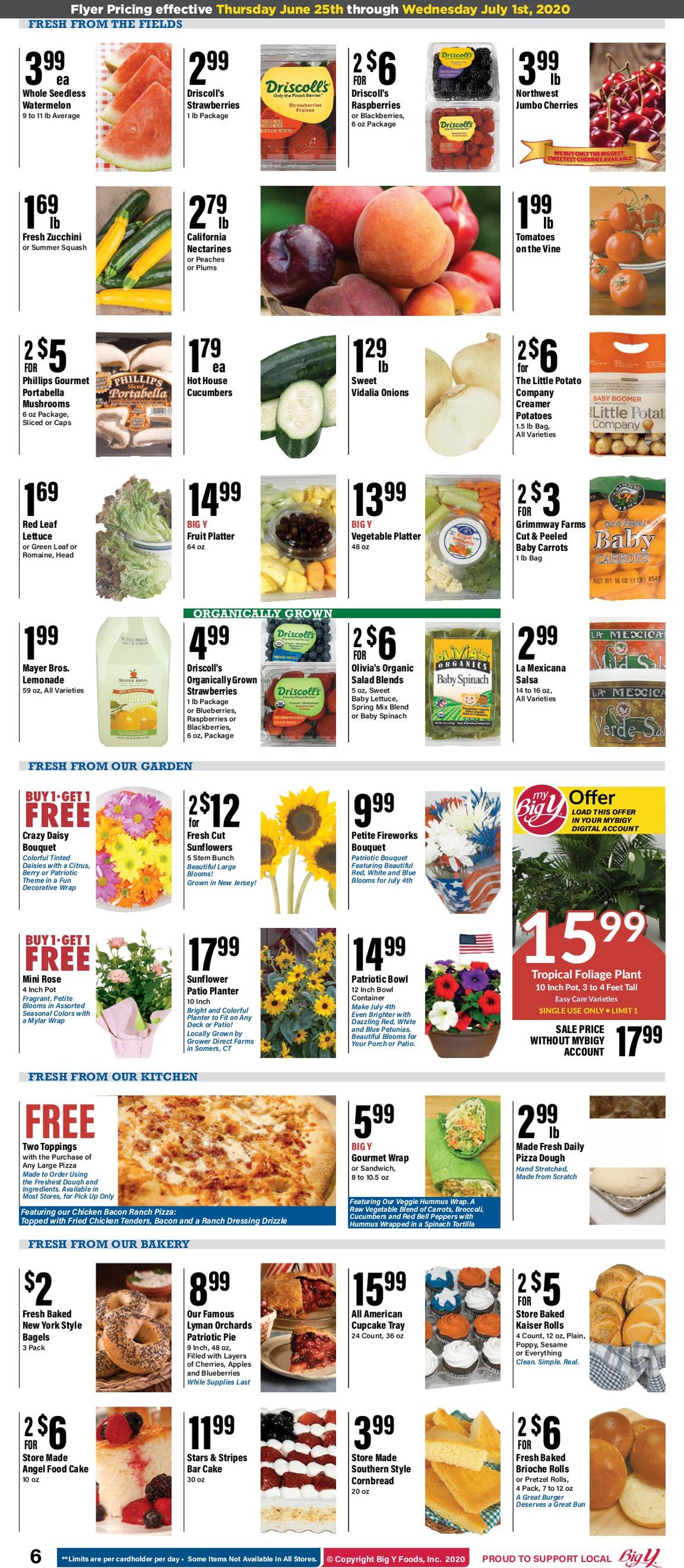 Catalogue Big Y from 06/25/2020
